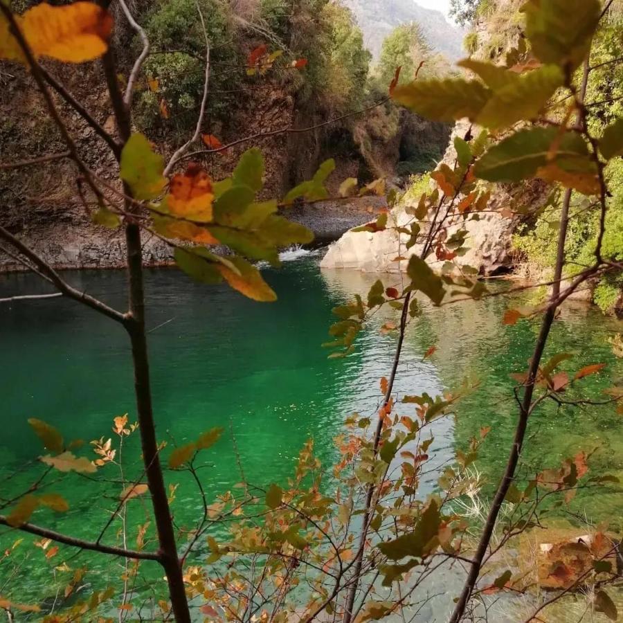 Vila Refugio Del Salto -Radal 7 Tazas Molina  Exteriér fotografie