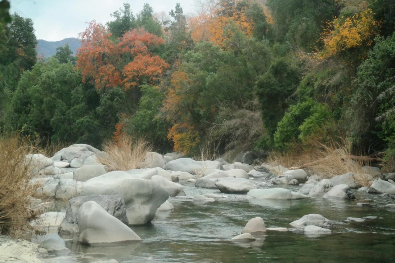 Vila Refugio Del Salto -Radal 7 Tazas Molina  Exteriér fotografie